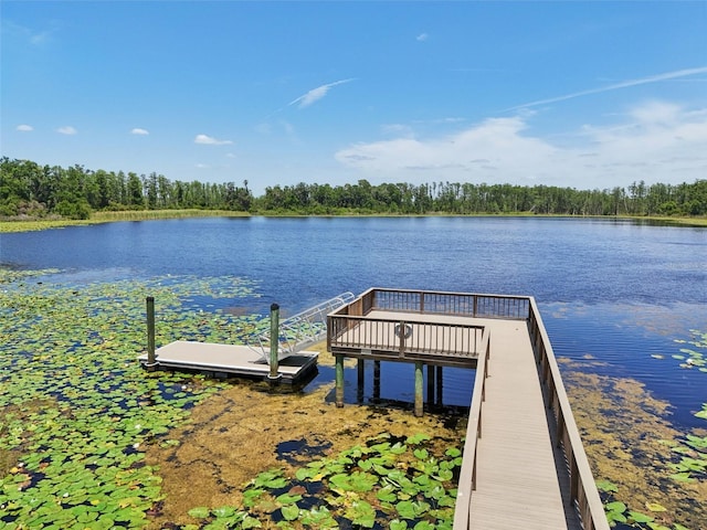 1821 Cherry Walk Rd, Lutz, FL 33558 - dock area featuring a water view