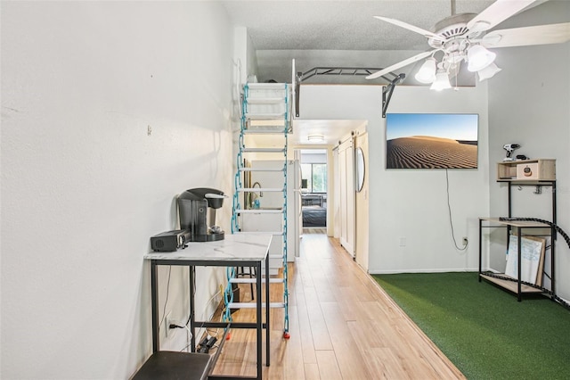 20921 Haulover Cv Unit 8, Lutz, FL 33558 - hallway with wood finished floors and baseboards