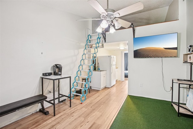 20921 Haulover Cv Unit 8, Lutz, FL 33558 - game room featuring wood finished floors, a ceiling fan, and baseboards