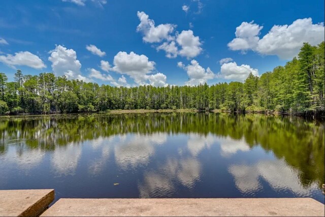 20921 Haulover Cv Unit 8, Lutz, FL 33558 - photo 22