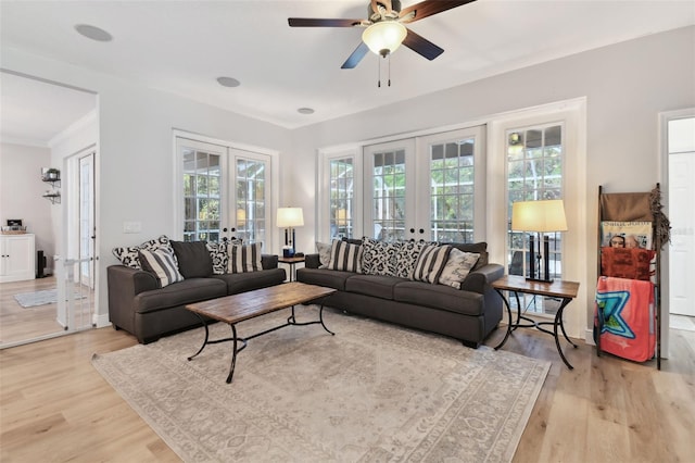5813 Bent Grass Dr, Valrico, FL 33596 - photo 11