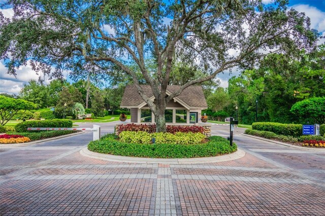 5813 Bent Grass Dr, Valrico, FL 33596 - photo 55