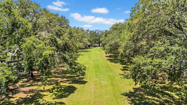 3144 W Waverly Park, Tampa, FL 33629 - photo 98