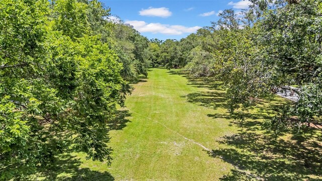3144 W Waverly Park, Tampa, FL 33629 - photo 5