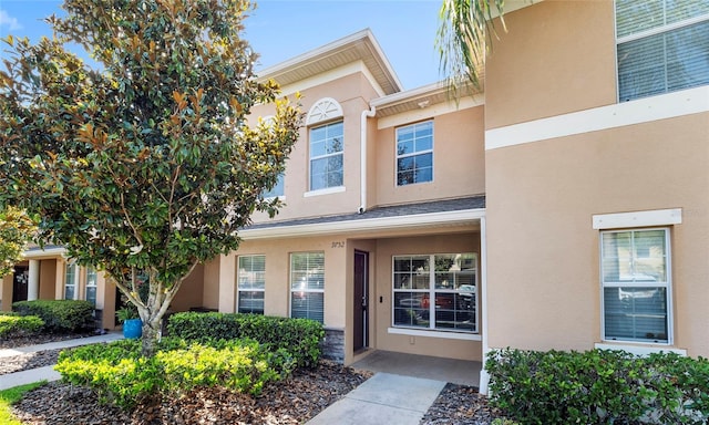 9752 Trumpet Vine Loop, Trinity, FL 34655 - view of property