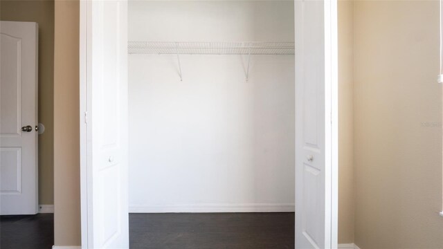 9752 Trumpet Vine Loop, Trinity, FL 34655 - view of closet