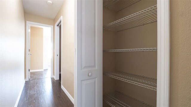 9752 Trumpet Vine Loop, Trinity, FL 34655 - view of closet