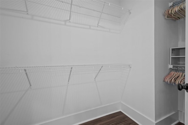 502 E Robles St, Tampa, FL 33602 - photo 26