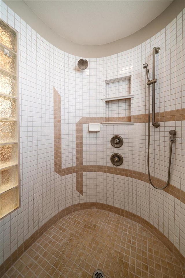 3397 Bluefish Dr, Hernando Beach, FL 34607 - full bathroom featuring tiled shower