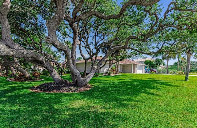 64 Alberta Ave, Ponce Inlet, FL 32127 - view of grassy yard
