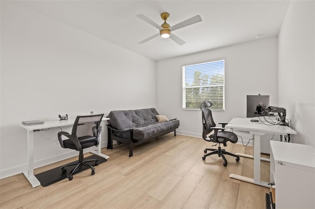 3541 Great Banyan Way, Wesley Chapel, FL 33543 - office area featuring light wood finished floors and a ceiling fan