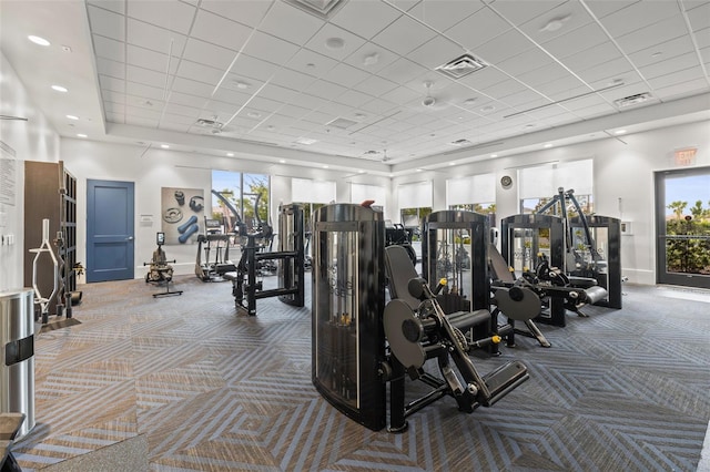 3541 Great Banyan Way, Wesley Chapel, FL 33543 - workout area featuring carpet and a paneled ceiling