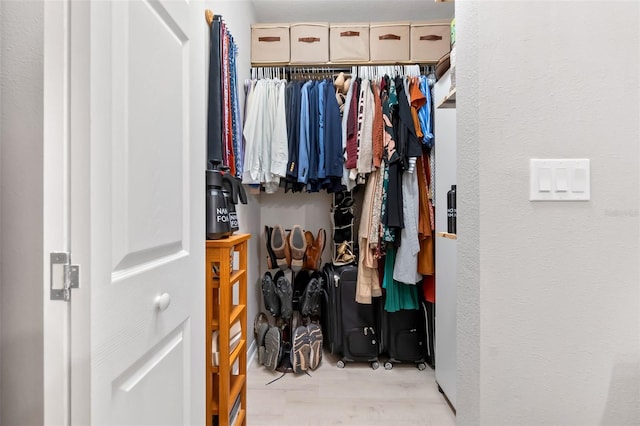 10412 White Lake Ct, Tampa, FL 33626 - spacious closet with wood finished floors