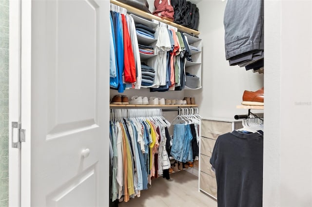 10412 White Lake Ct, Tampa, FL 33626 - view of walk in closet