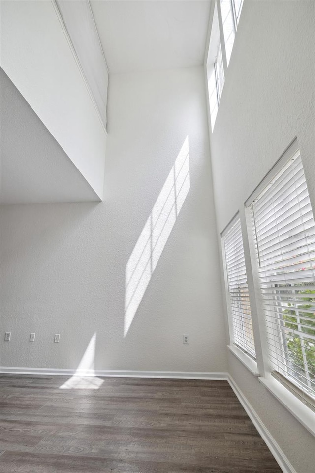 16314 Parkstone Palms Ct, Tampa, FL 33647 - photo 8