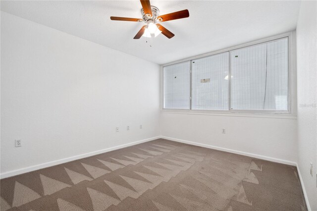 16314 Parkstone Palms Ct, Tampa, FL 33647 - photo 18