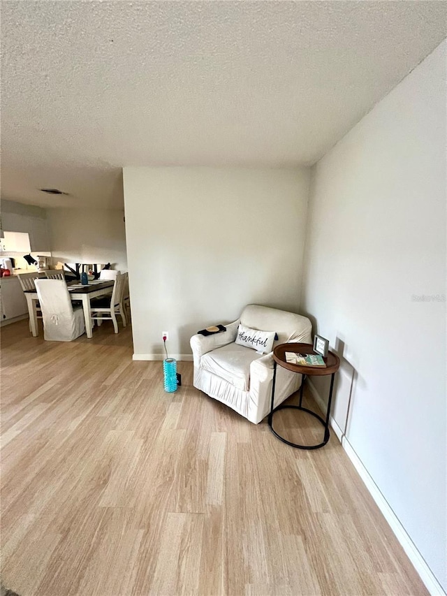 3725 Teeside Dr, New Port Richey, FL 34655 - living area featuring light wood-style flooring, a textured ceiling, and baseboards