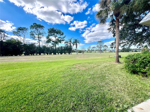 3725 Teeside Dr, New Port Richey, FL 34655 - view of grassy yard