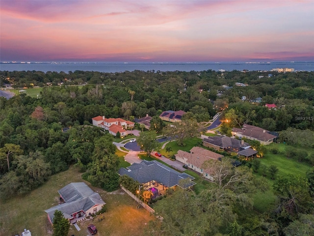 512 Creekside Ct, Safety Harbor, FL 34695 - photo 6