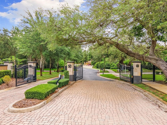 512 Creekside Ct, Safety Harbor, FL 34695 - photo 58