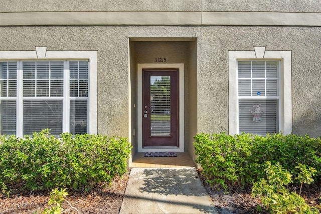 31215 Flannery Ct, Wesley Chapel, FL 33543 - view of exterior entry featuring stucco siding