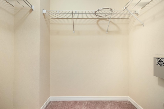 31215 Flannery Ct, Wesley Chapel, FL 33543 - spacious closet featuring carpet