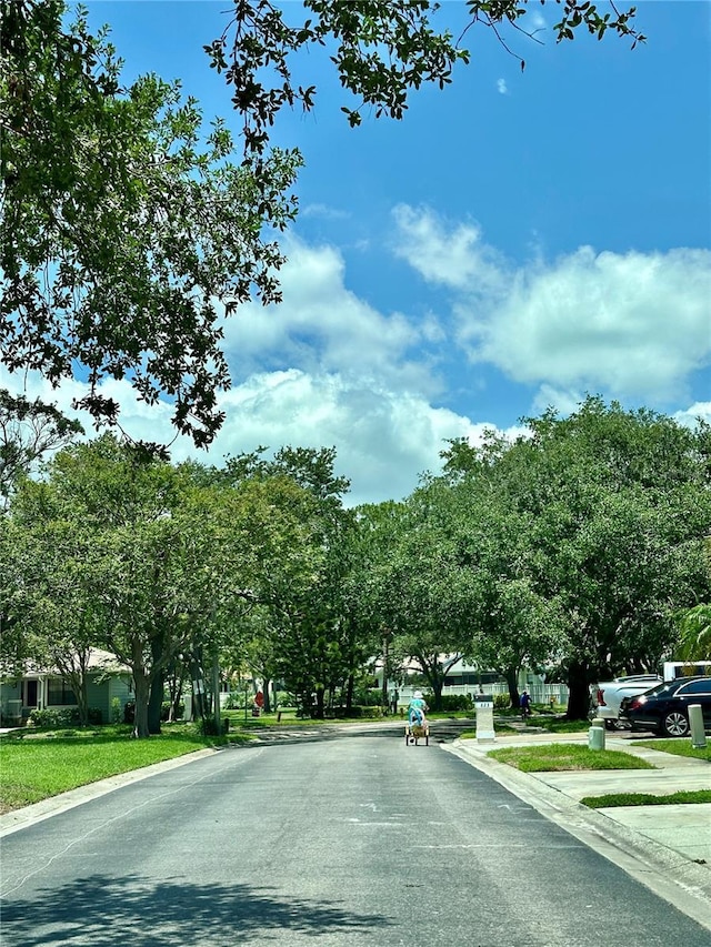 907 San Carlos Ave NE, Saint Petersburg, FL 33702 - photo 30