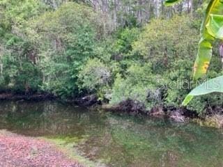 2015 Vista Del Sol Unit 108, Lutz, FL 33558 - view of nature