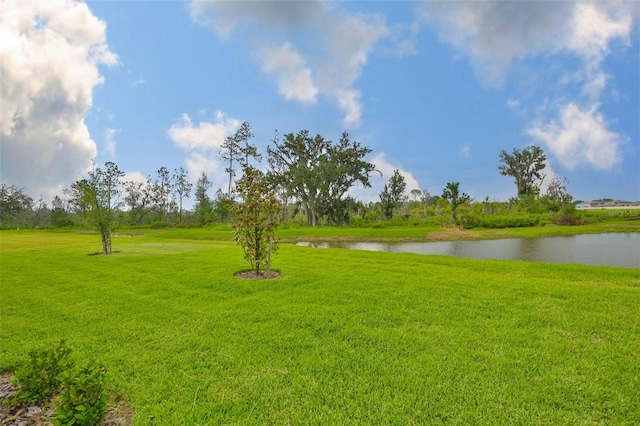 3816 N Maryland Ave, Plant City, FL 33565 - photo 42