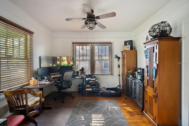 216 W S Ave, Tampa, FL 33603 - photo 13