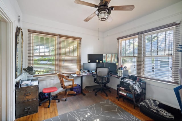 216 W S Ave, Tampa, FL 33603 - photo 14