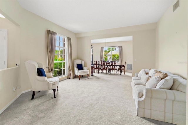 18219 Bittern Ave, Lutz, FL 33558 - living room featuring carpet and plenty of natural light