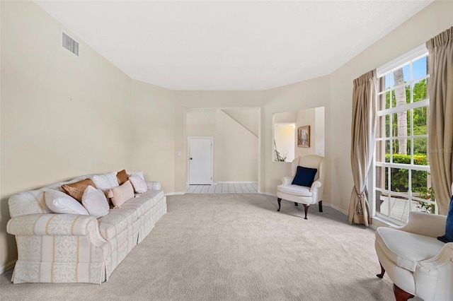 18219 Bittern Ave, Lutz, FL 33558 - sitting room with carpet and baseboards