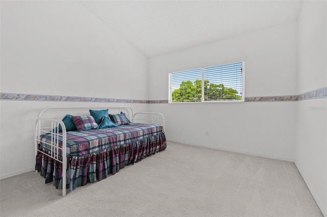 18219 Bittern Ave, Lutz, FL 33558 - bedroom with carpet flooring and vaulted ceiling