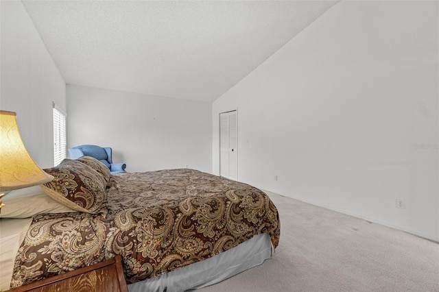 18219 Bittern Ave, Lutz, FL 33558 - carpeted bedroom with vaulted ceiling and a closet