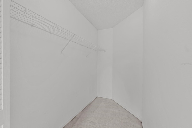 18219 Bittern Ave, Lutz, FL 33558 - spacious closet with light colored carpet