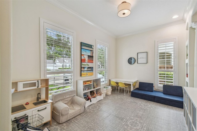 2522 W Watrous Ave, Tampa, FL 33629 - living area with carpet flooring and crown molding