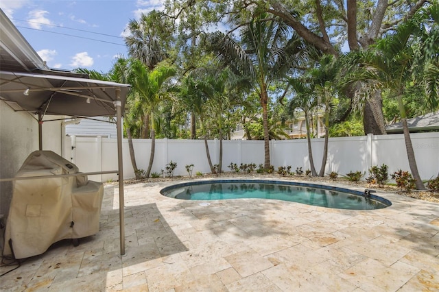 2522 W Watrous Ave, Tampa, FL 33629 - view of swimming pool featuring a patio area, a fenced backyard, and area for grilling