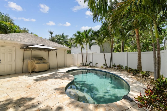 2522 W Watrous Ave, Tampa, FL 33629 - view of pool featuring a fenced backyard and a patio area