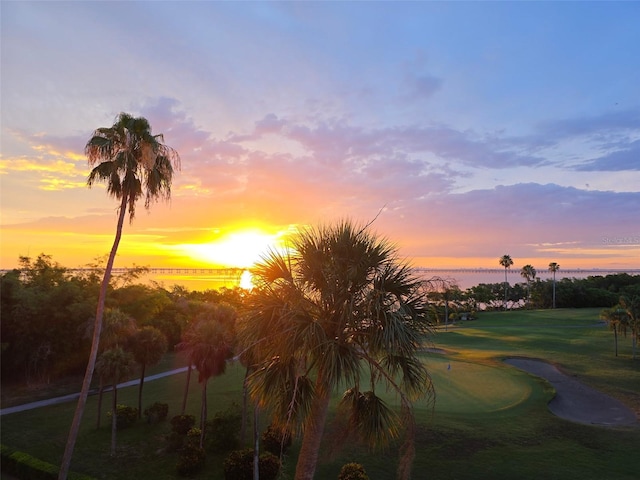2616 Cove Cay Dr Unit 505, Clearwater, FL 33760 - view of community with golf course view