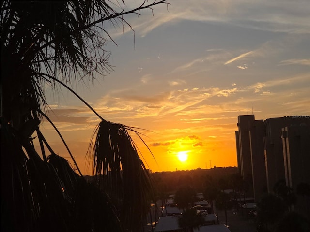 2616 Cove Cay Dr Unit 505, Clearwater, FL 33760 - mountain view
