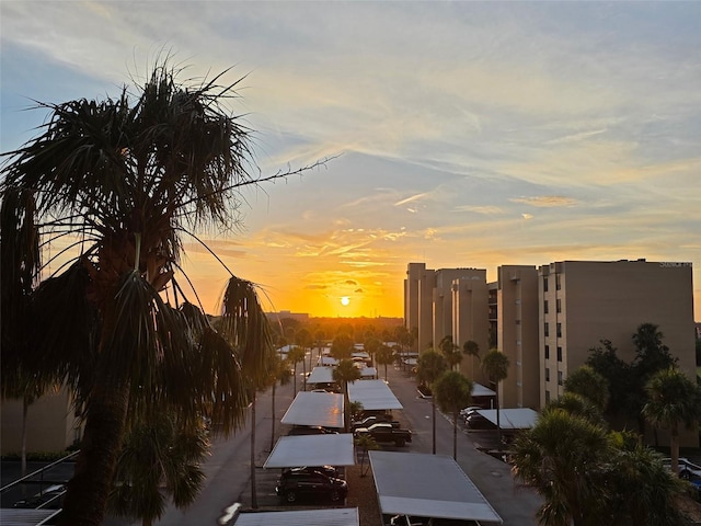2616 Cove Cay Dr Unit 505, Clearwater, FL 33760 - city view