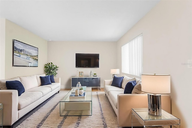 11805 Raintree Lake Ln Unit A, Tampa, FL 33617 - view of living room