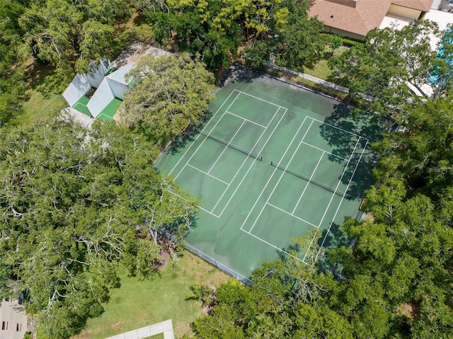 11805 Raintree Lake Ln Unit A, Tampa, FL 33617 - aerial view
