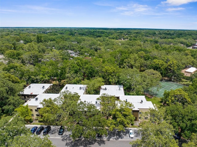 11805 Raintree Lake Ln Unit A, Tampa, FL 33617 - aerial view of a forest
