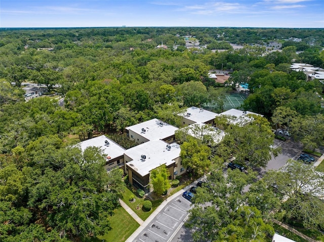11805 Raintree Lake Ln Unit A, Tampa, FL 33617 - aerial view of a forest