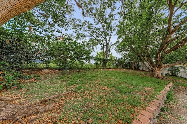 1558 Cottonwood Ter, Dunedin, FL 34698 - view of yard