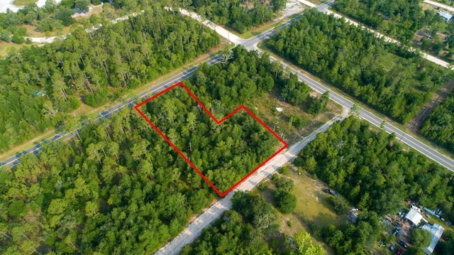 NW Lakeview Rd, Altha, FL 32421