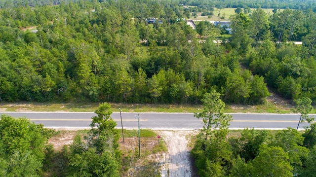 NW Lakeview Rd, Altha, FL 32421