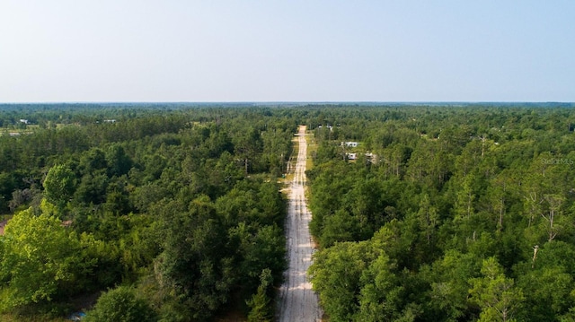 NW Lakeview Rd, Altha, FL 32421